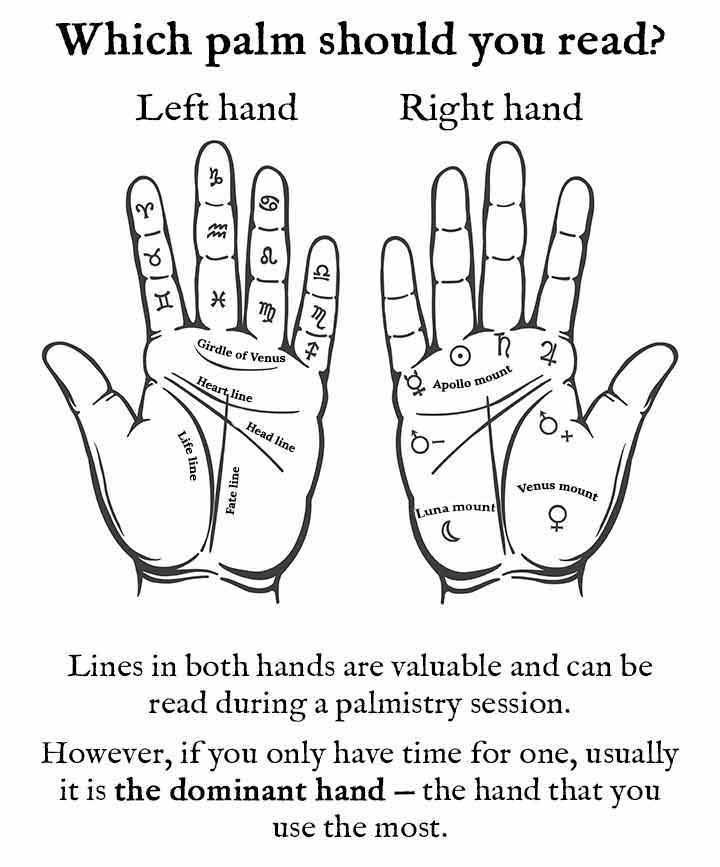 Palm Reading Guide How To Read Your Own Palm Spells8