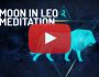 Moon in Leo Zodiac Meditation