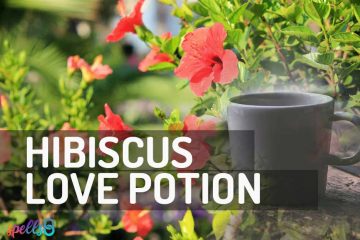 Hibiscus Self-Love Potion Spell
