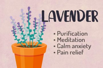 Lavender Herbal Witchcraft Magic Course