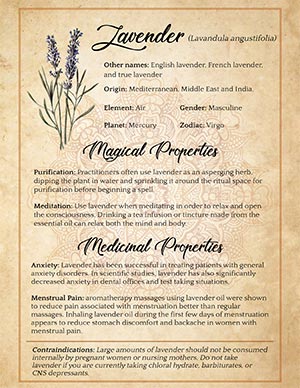 Lavender Magical Uses