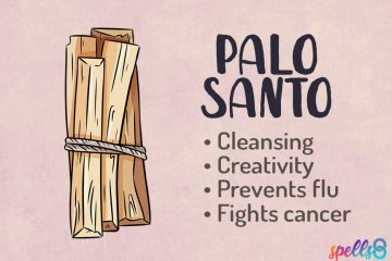 Magickal properties of Palo Santo