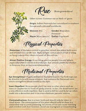 Rue Witch Properties and Uses