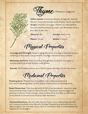 Thyme Magical Uses
