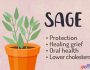 Sage Green Witchcraft Uses