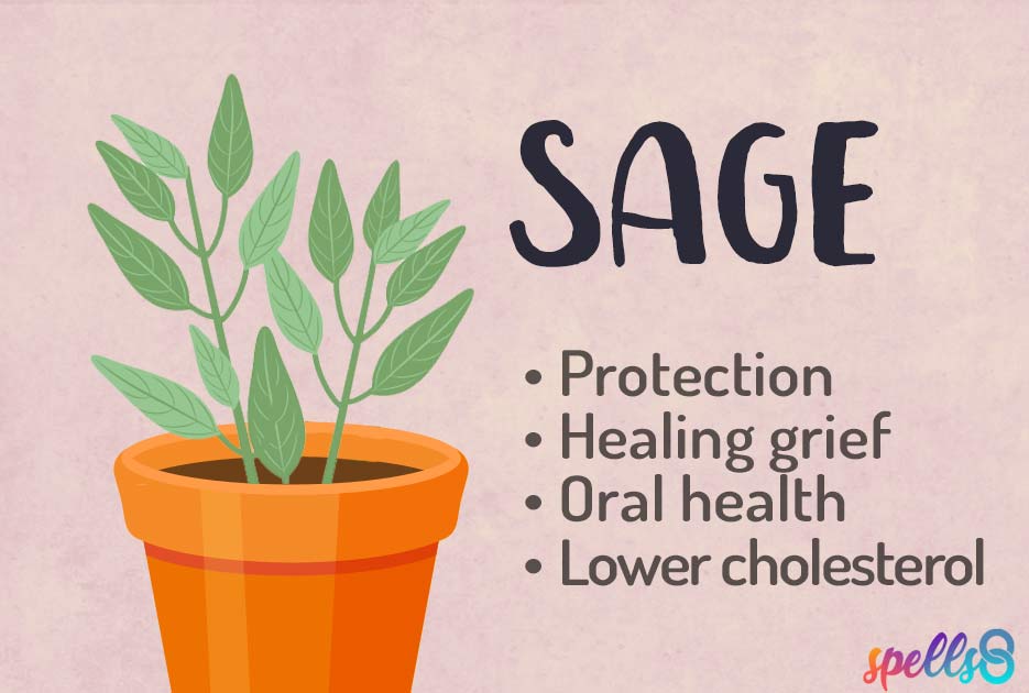 Sage Green Witchcraft Uses
