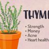 Thyme Magical Uses