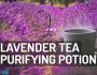 Lavender Tea Purifying Potion