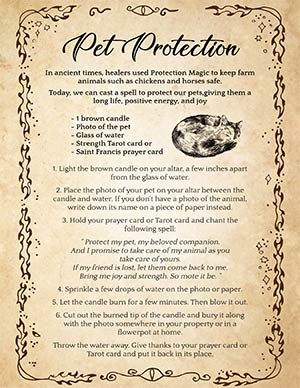 Pet Protection Spell