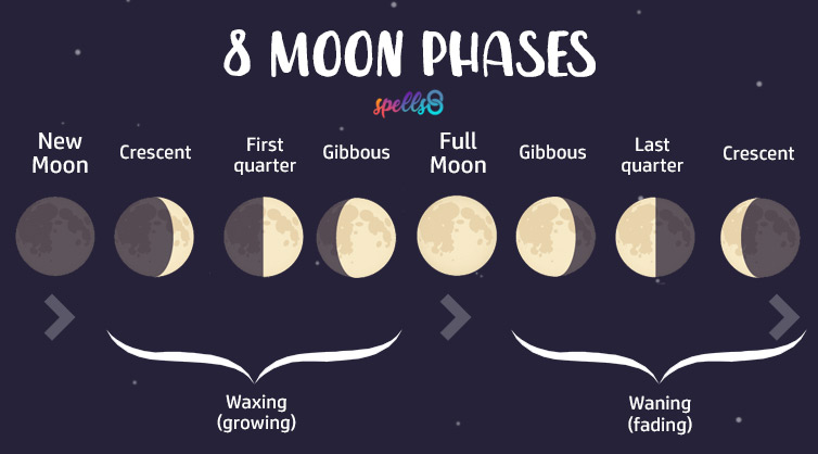 8 phases of the Moon