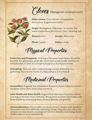 Uses of Cloves in Magic