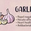 Garlic Magic Properties