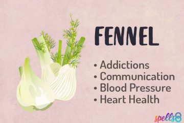 Magical Uses Properties of Fennel