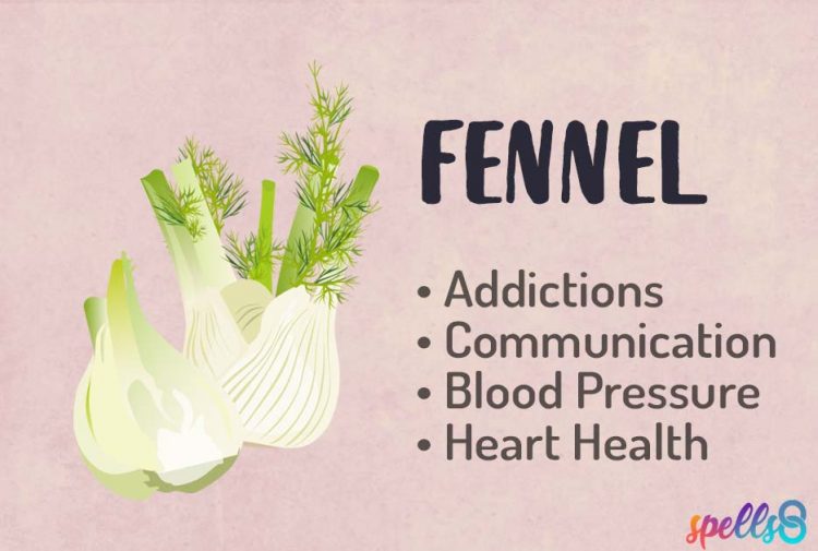 Magical Uses Properties of Fennel