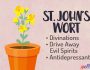 St John's Wort Magical Uses Green Witch