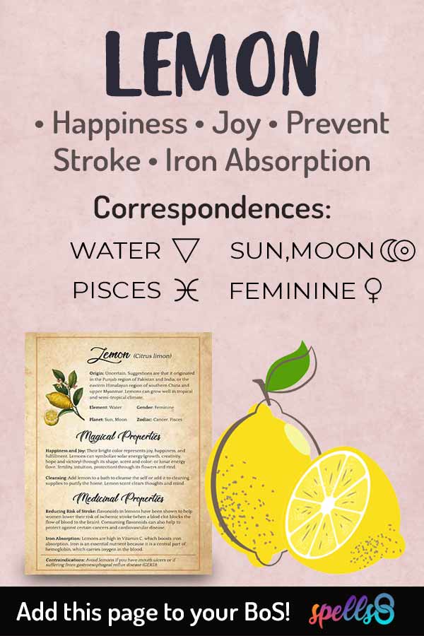 Lemon Correspondences