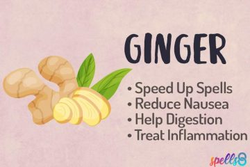 How to use Ginger in Witchcraft