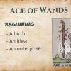 Ace of Wands Upright
