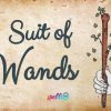 Suit of Wands Tarot