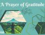 Prayer of Gratitude