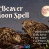 Full Beaver Moon Spell