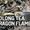 Oolong Tea Meditation Dragon Flame