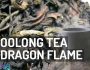 Oolong Tea Meditation Dragon Flame