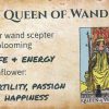 Queen of Wands Tarot meaning