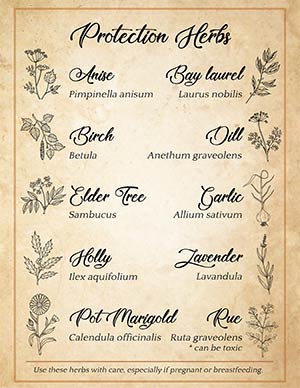 Green Witch Protection Herbs