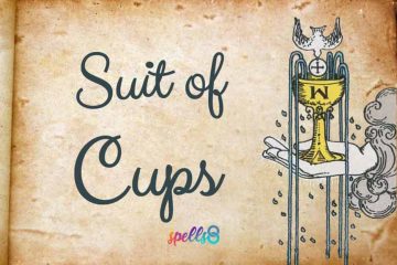 The Suit of Cups