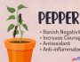 Pepper Witch Uses and Properties