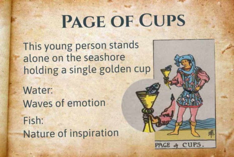 Tarot Page of Cups