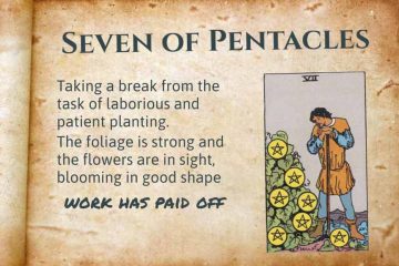 Seven of Pentacles