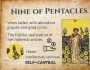 Nine of Pentacles