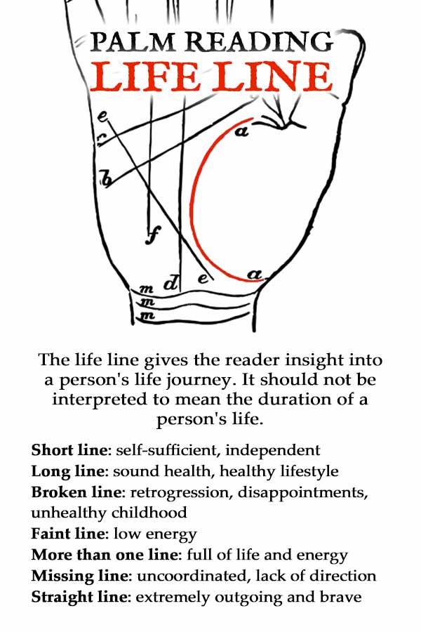 Palm Reading Lines Guide: Life Line