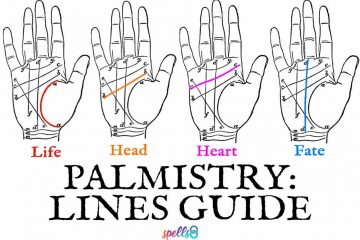 Palm Reading Lines Guide