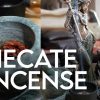 Hecate of the Crossroads Incense Recipe