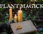 Plant Spells and Magic