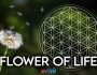 Flower of Life Spiritual Meaning