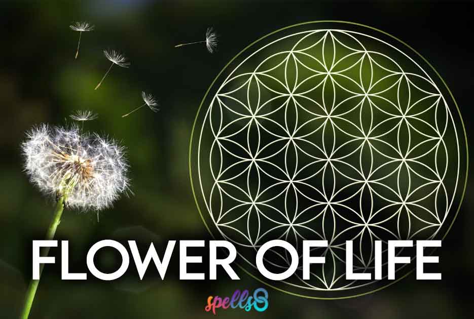 Flower Of Life Spiritual Meaning And