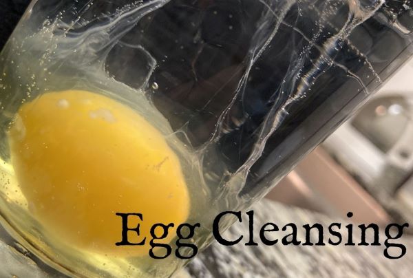 How to read an egg cleansing