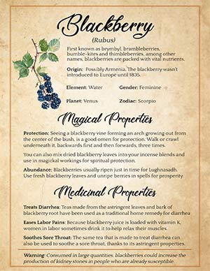 Spiritual Uses of Blackberry Book of Shadows page