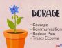 Borage Magickal Uses