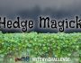 Hedge Magick: Into Other Realms