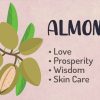Magical properties of Almonds