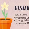Jasmine Spiritual Properties