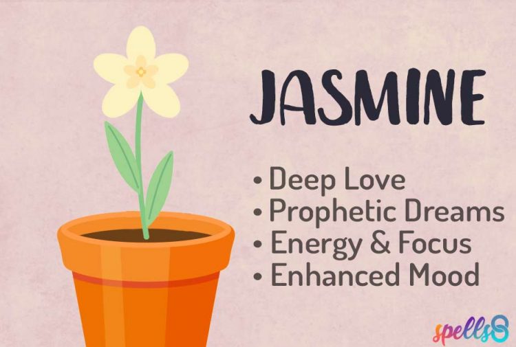 Jasmine Spiritual Properties