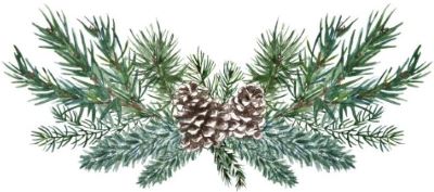 Pine divider with a pinecone.