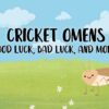 Cricket Omens