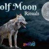 Full Wolf Moon 2023